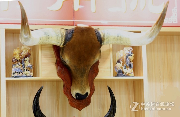 01进驻神农架！