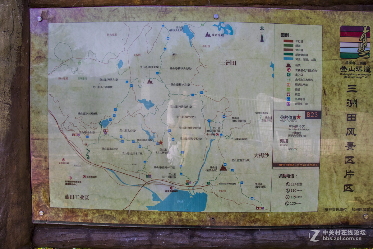 登山锻炼，沿途拾趣！！