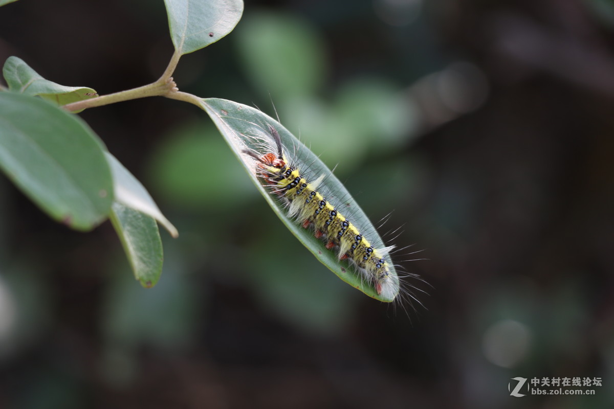 登山锻炼，沿途拾趣！！
