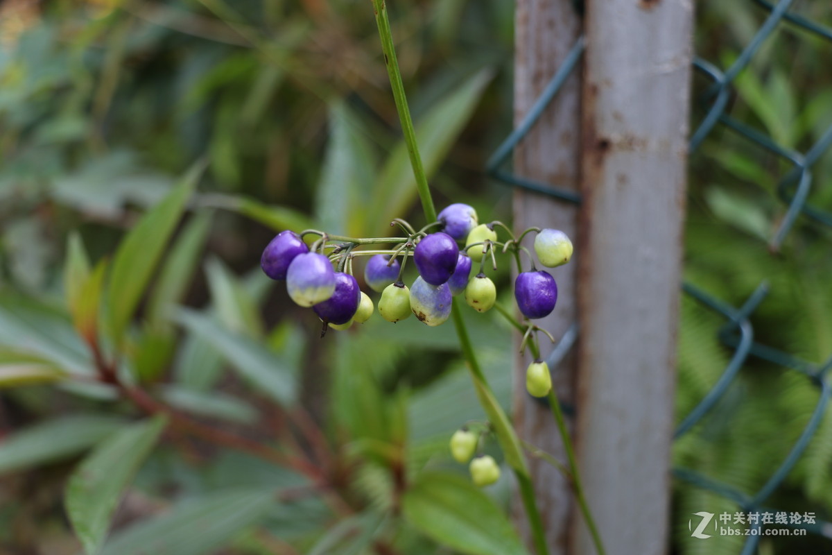 登山锻炼，沿途拾趣！！