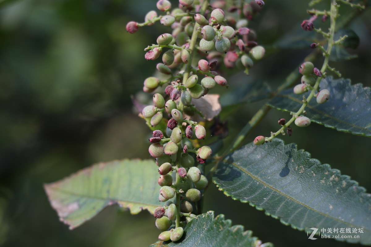 登山锻炼，沿途拾趣！！
