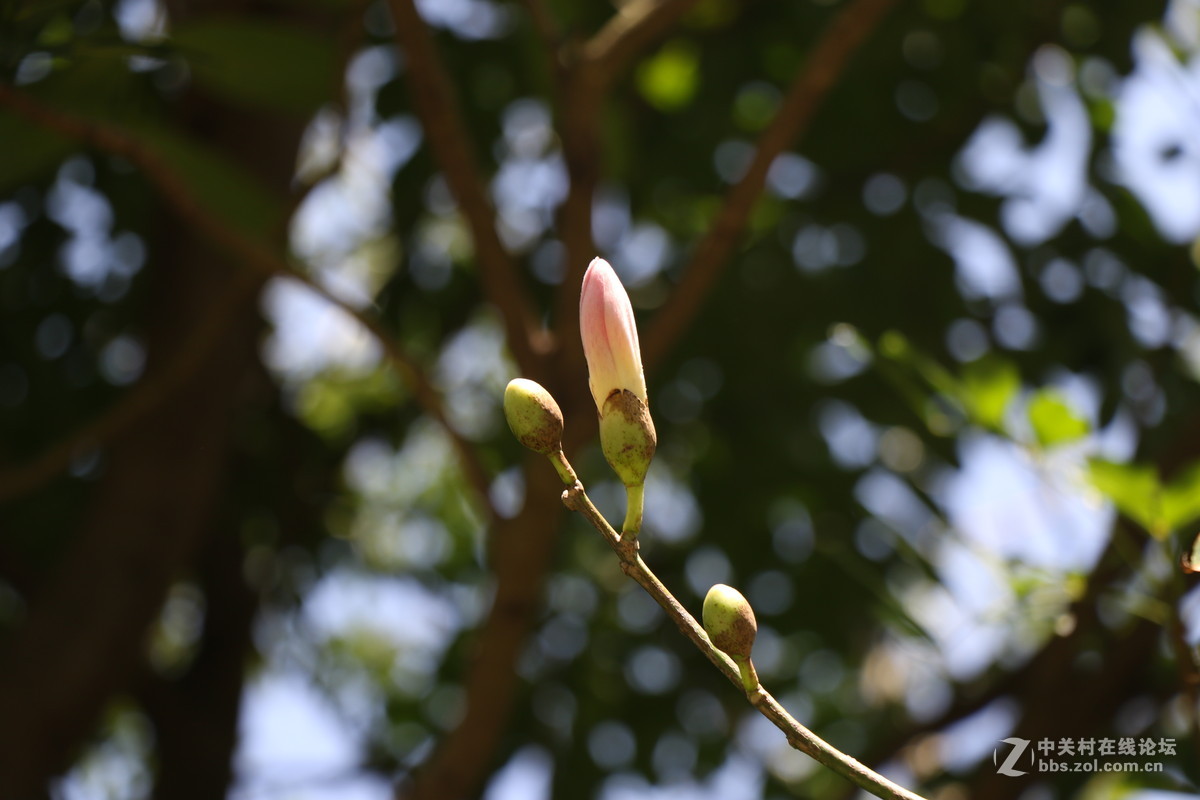 登山锻炼，沿途拾趣！！