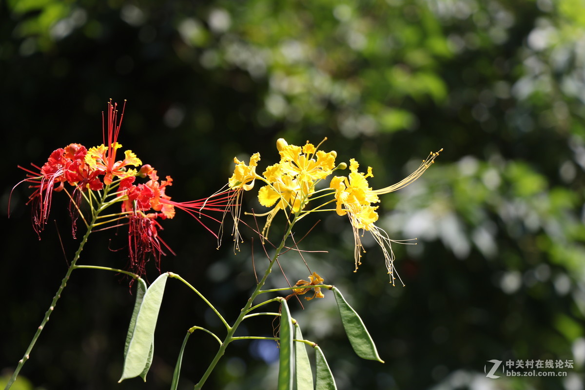 登山锻炼，沿途拾趣！！