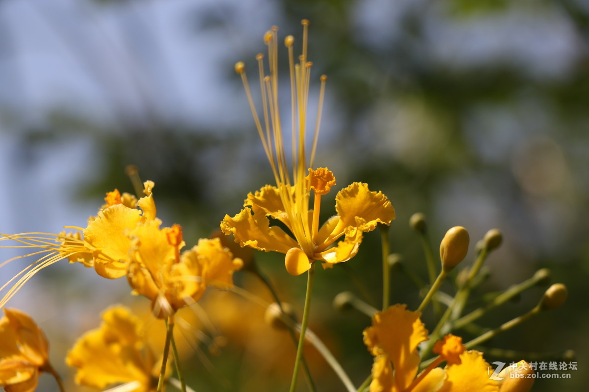 登山锻炼，沿途拾趣！！
