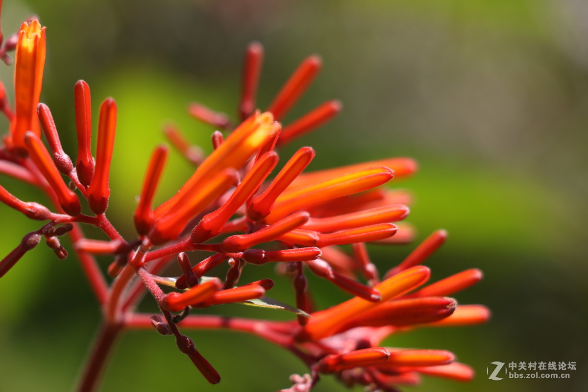 登山锻炼，沿途拾趣！！