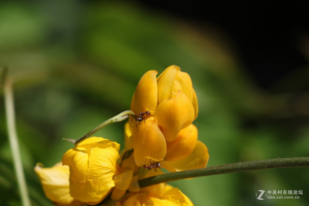 登山锻炼，沿途拾趣！！