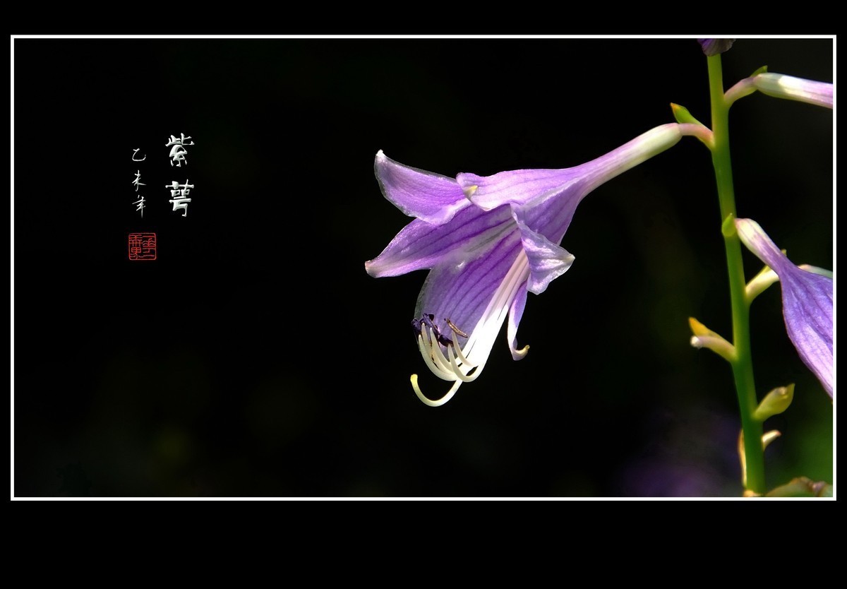 #版主坐堂#2015年12月份《承德》优秀作品选辑