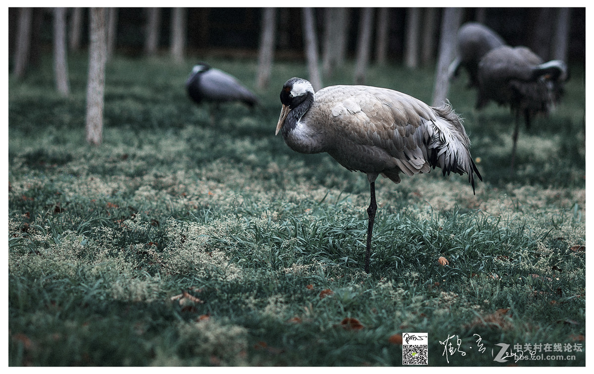 近期拍的几张小景~D7100+85 1.8D