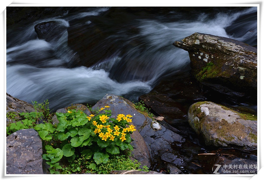 潺潺溪水让人醉