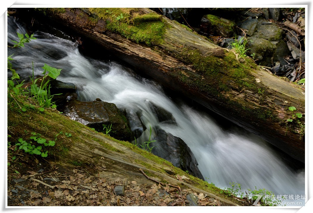 潺潺溪水让人醉