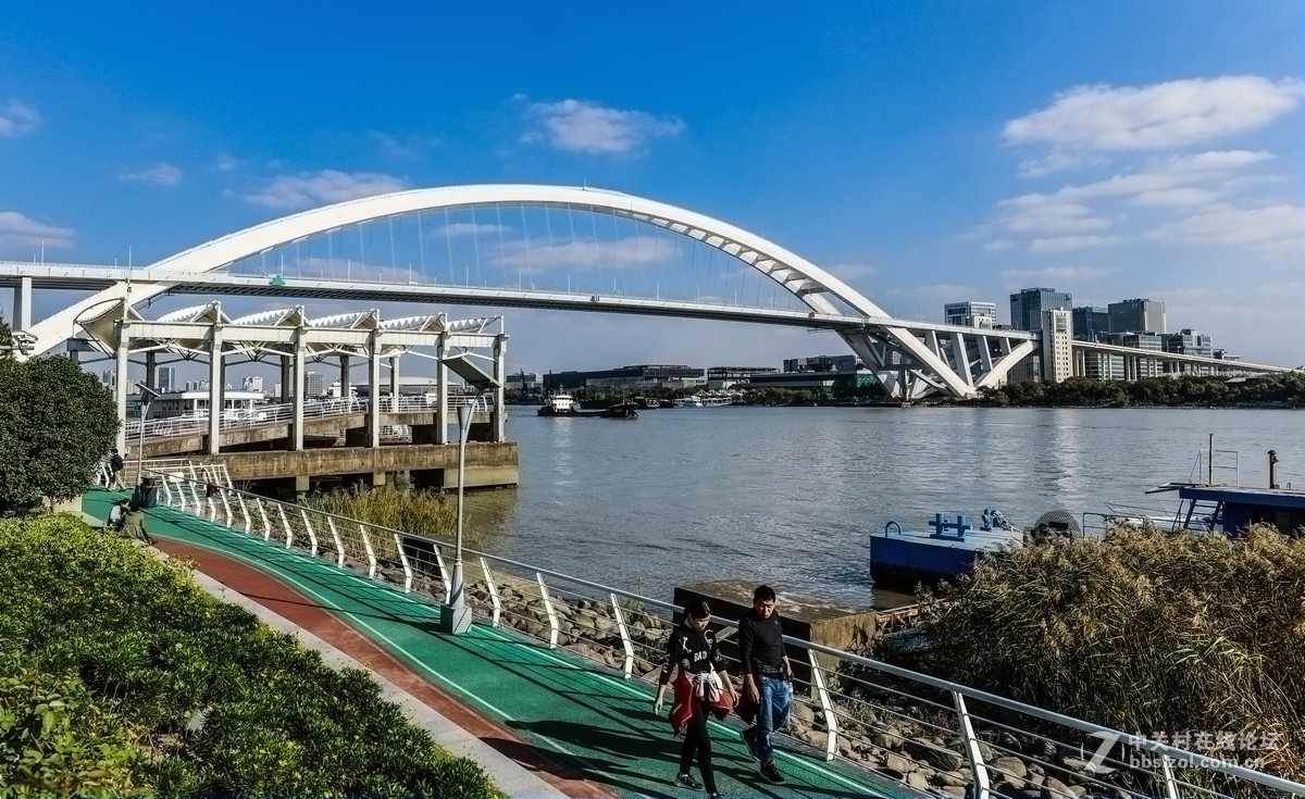 南园拍上海卢浦大桥