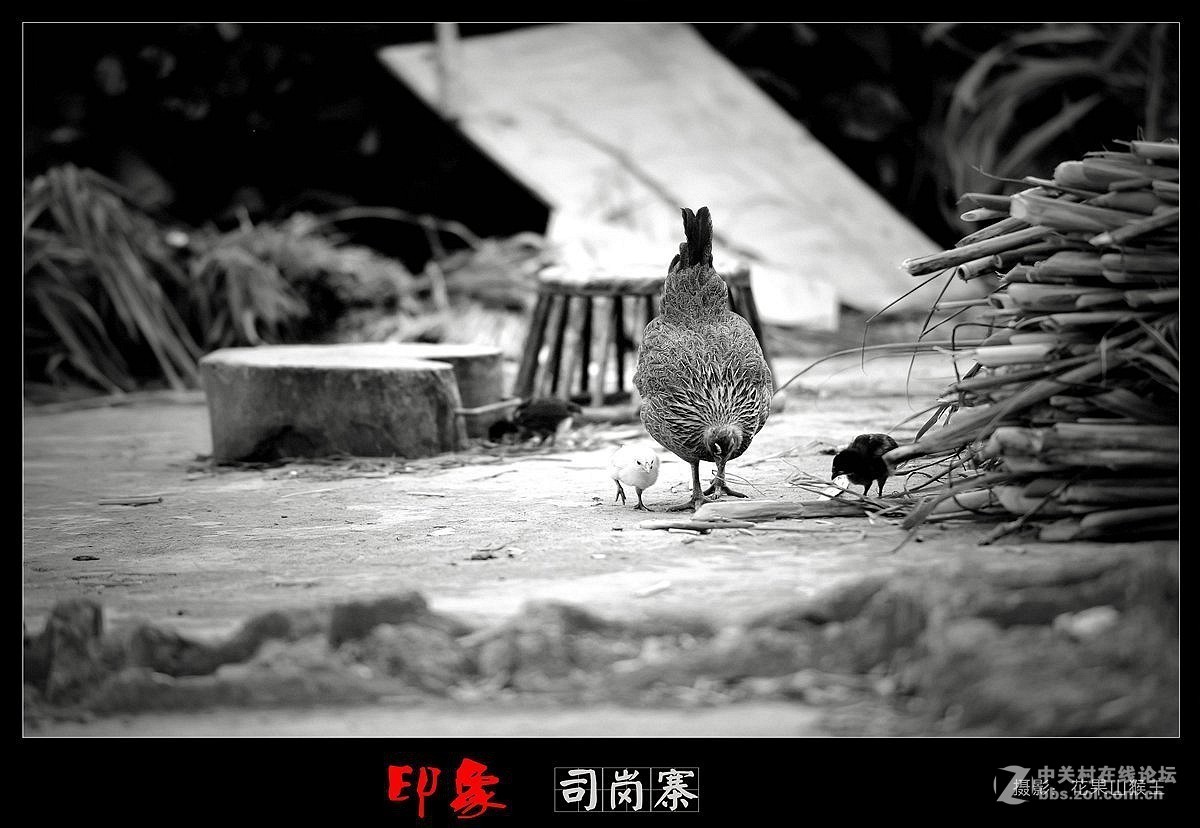 [佤寨印象系列之二]