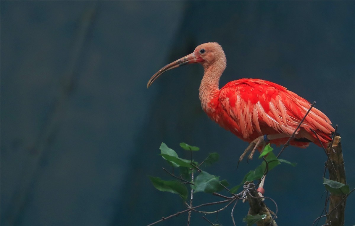 #版主坐堂#  2018年5月《佳能EF 24-105mm f/4L  IS USM镜头》星空(中国)优秀作品选编
