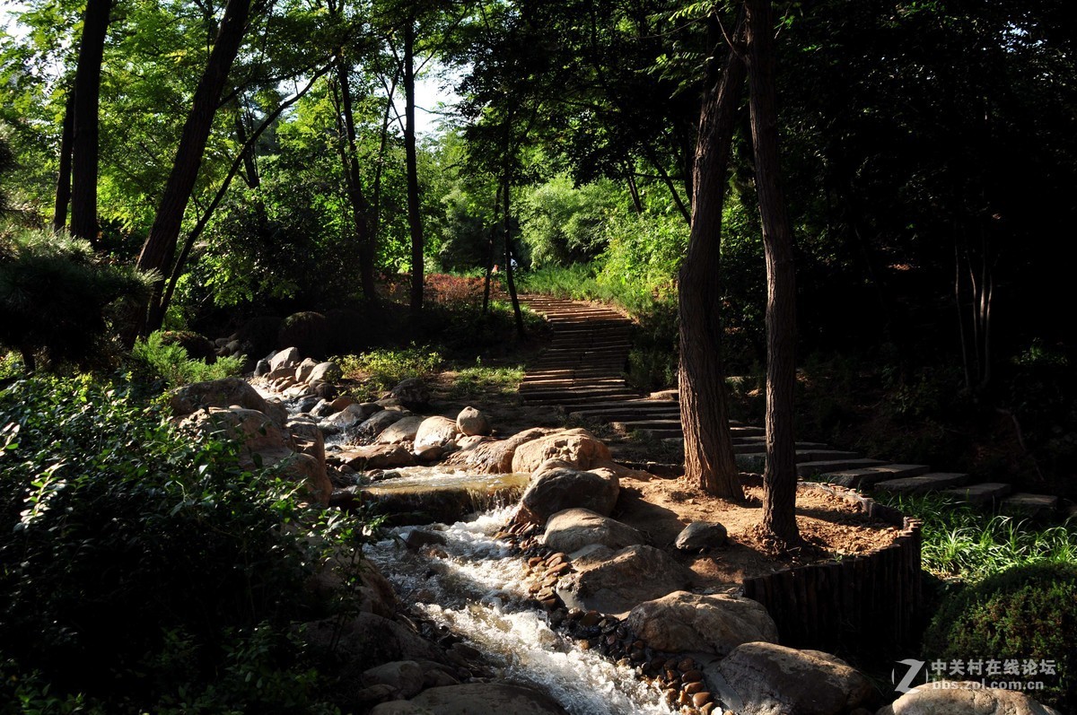 新改建的大連植物园随拍