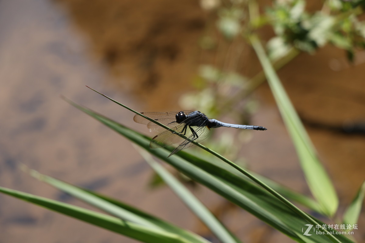 登山锻炼，沿途拾趣！！