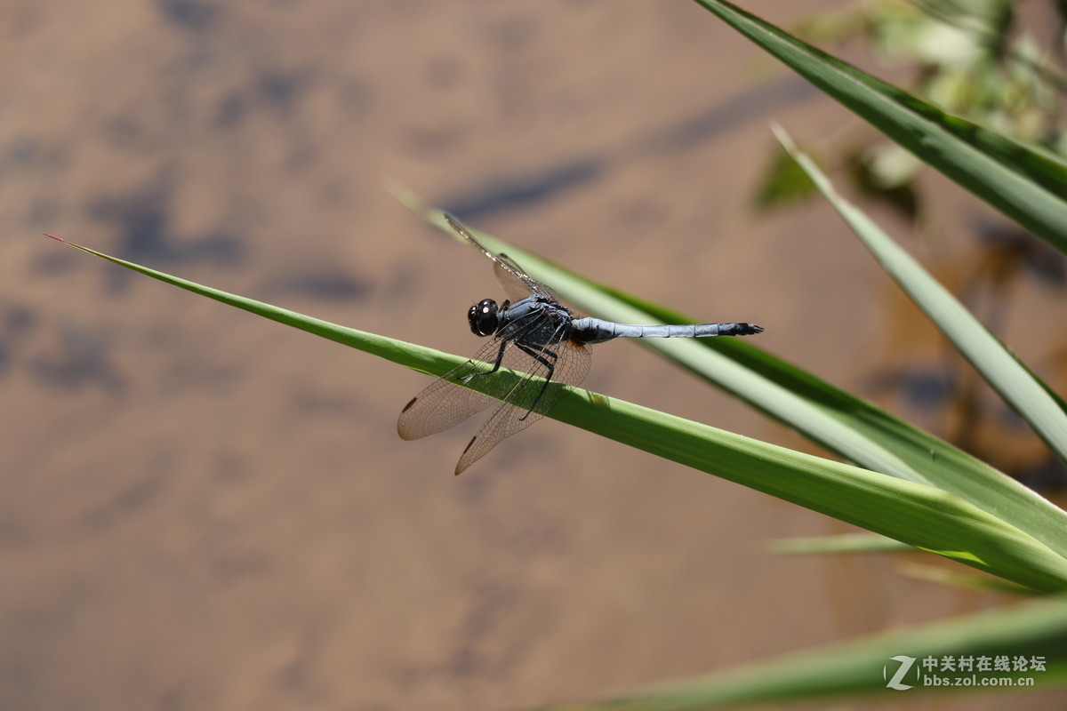 登山锻炼，沿途拾趣！！