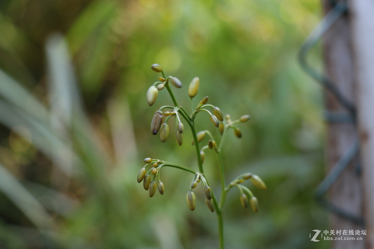 登山锻炼，沿途拾趣！！