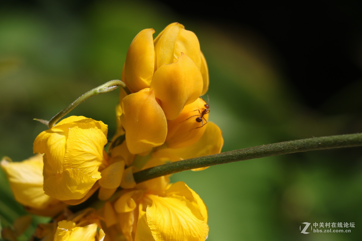 登山锻炼，沿途拾趣！！