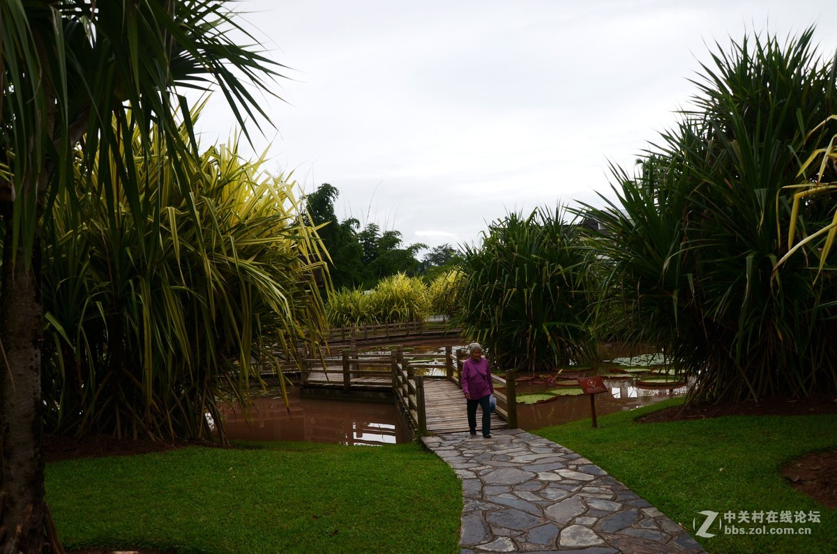 走近植物园8