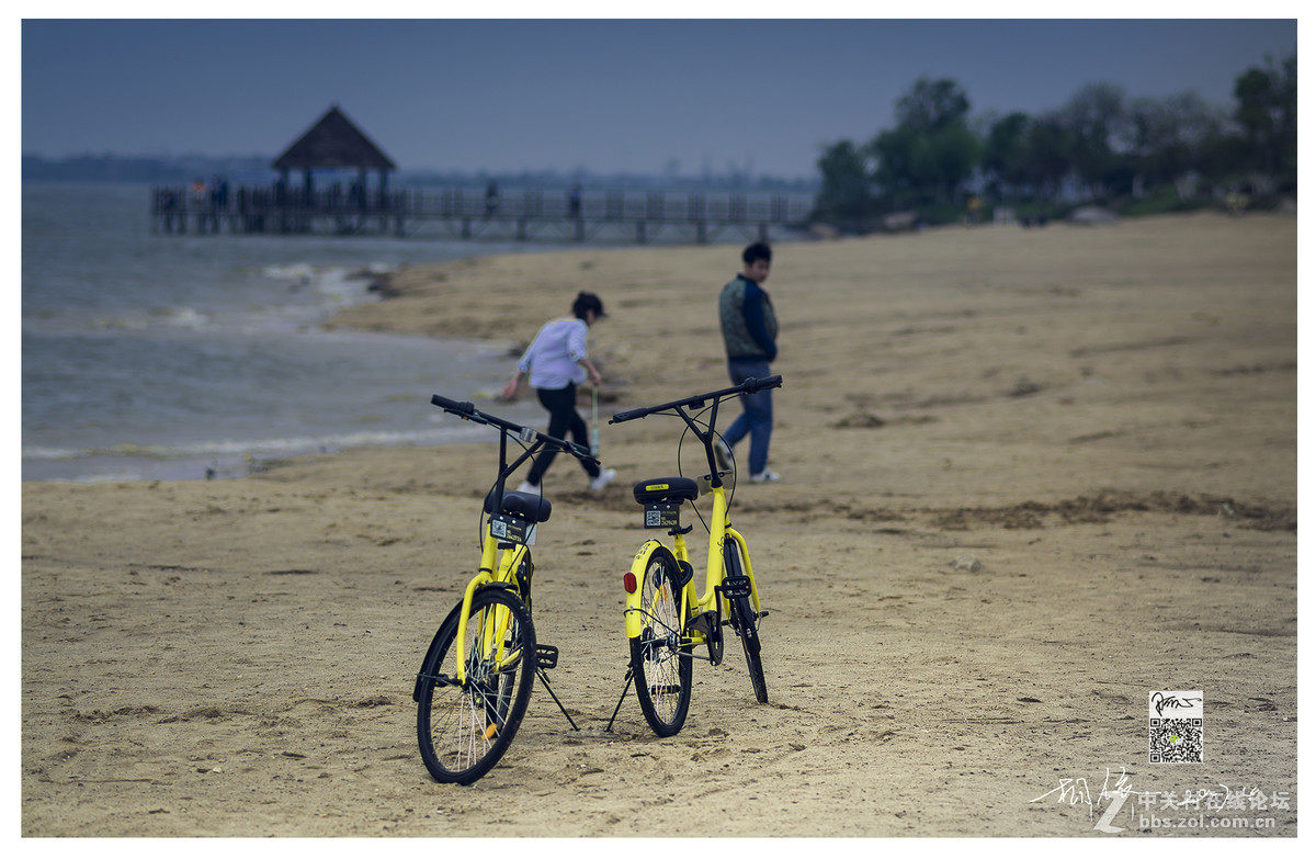 近期拍的几张小景~D7100+85 1.8D