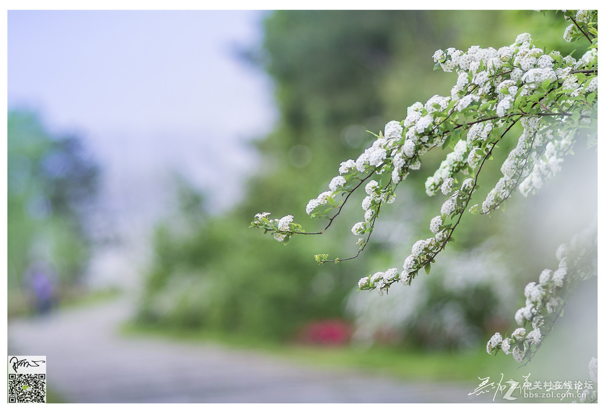 近期拍的几张小景~D7100+85 1.8D