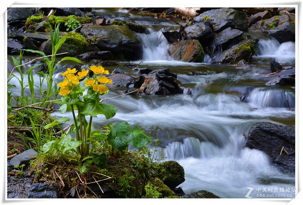 潺潺溪水让人醉