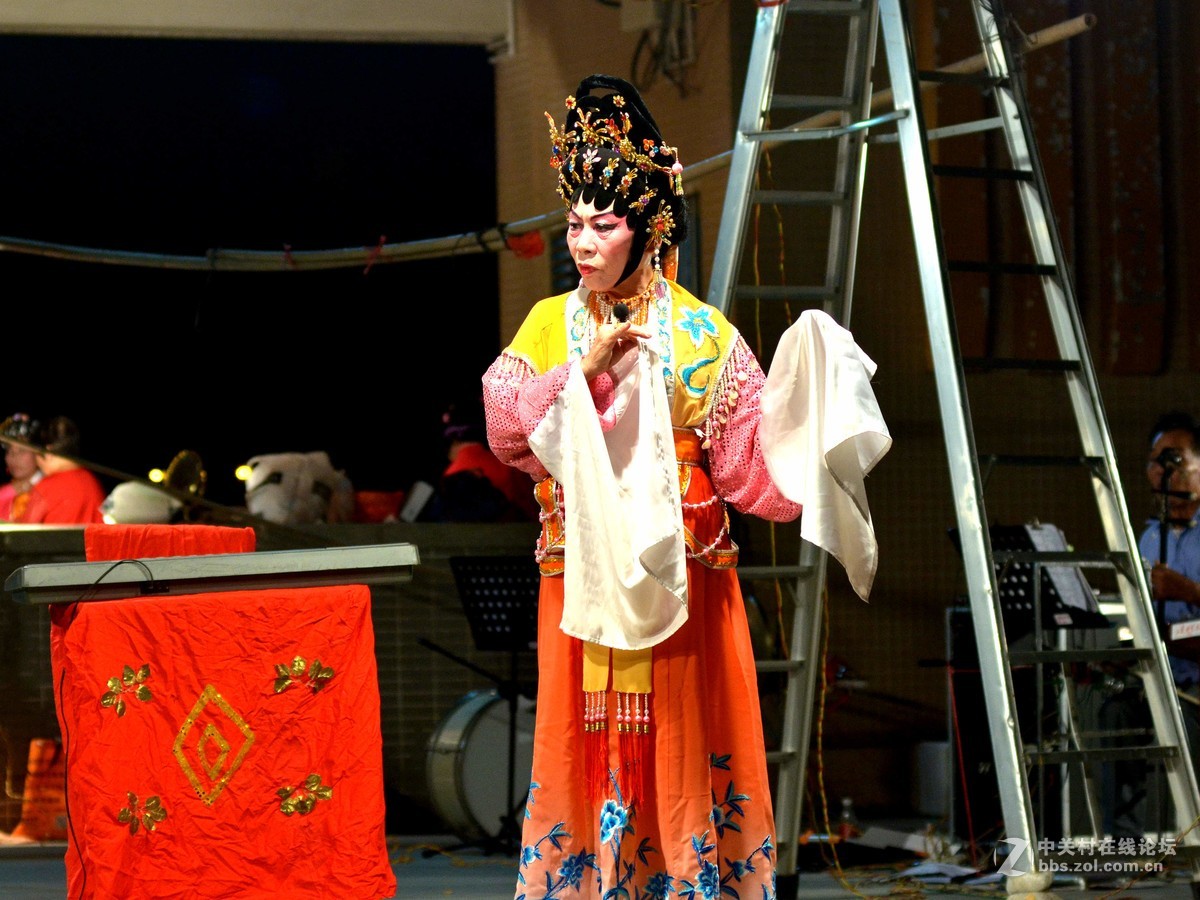 国庆乡下小村里曲艺表演(帝女花）