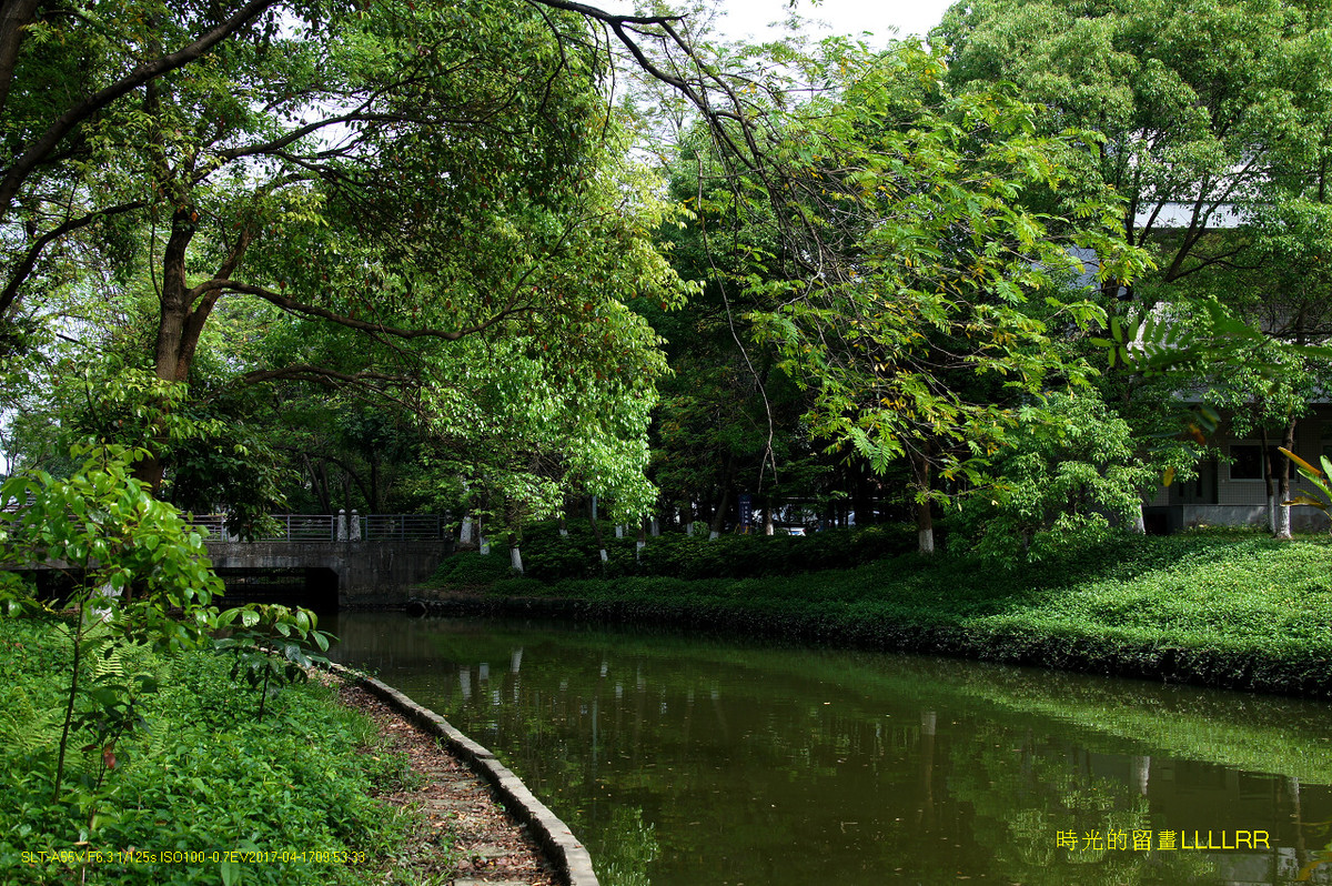 【校园随拍 19】 广州大学