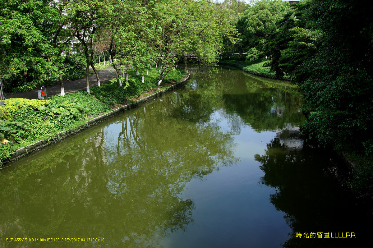 【校园随拍 19】 广州大学