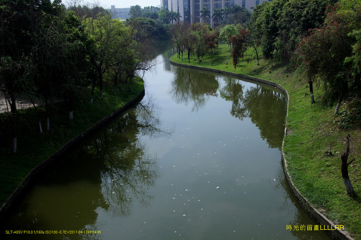 【校园随拍 19】 广州大学