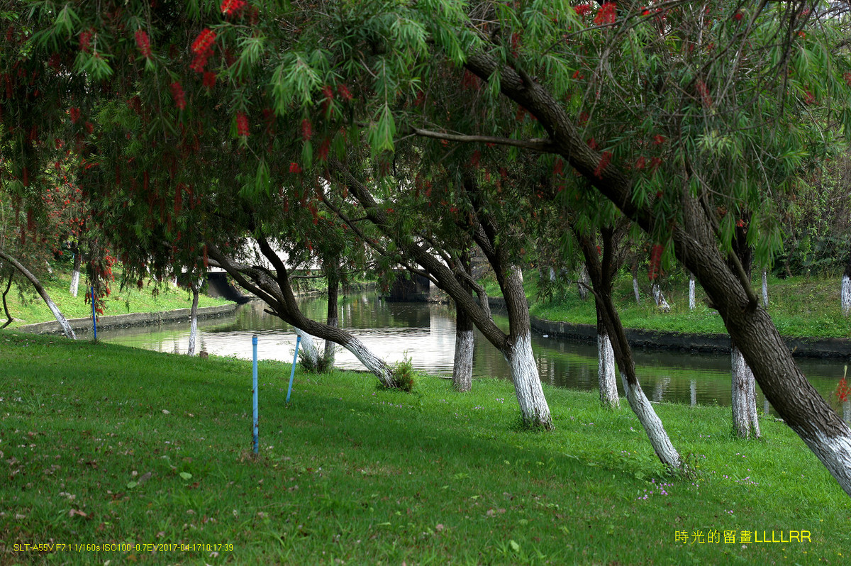 【校园随拍 19】 广州大学