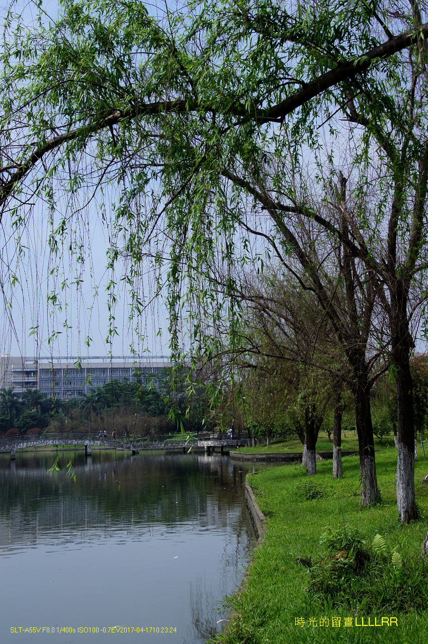 【校园随拍 19】 广州大学