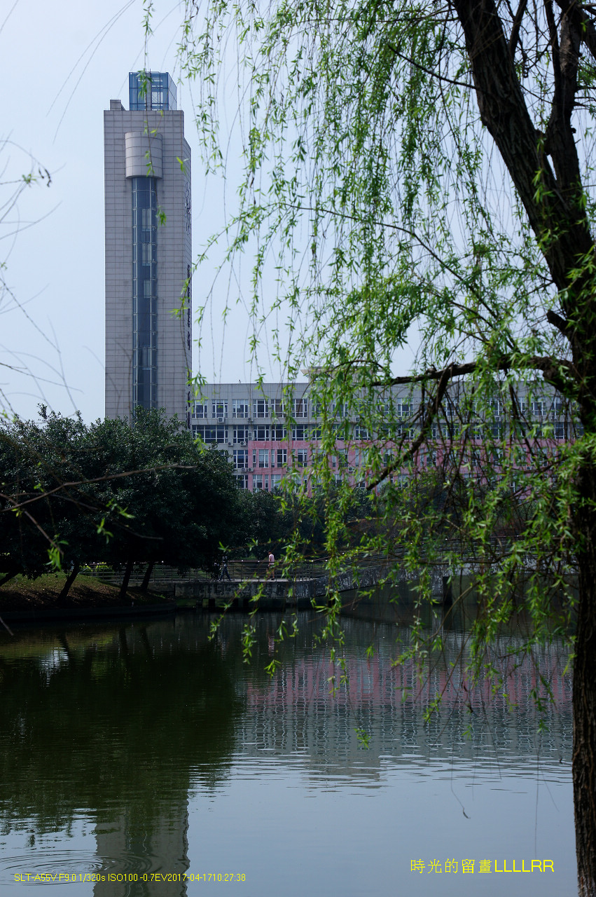 【校园随拍 19】 广州大学