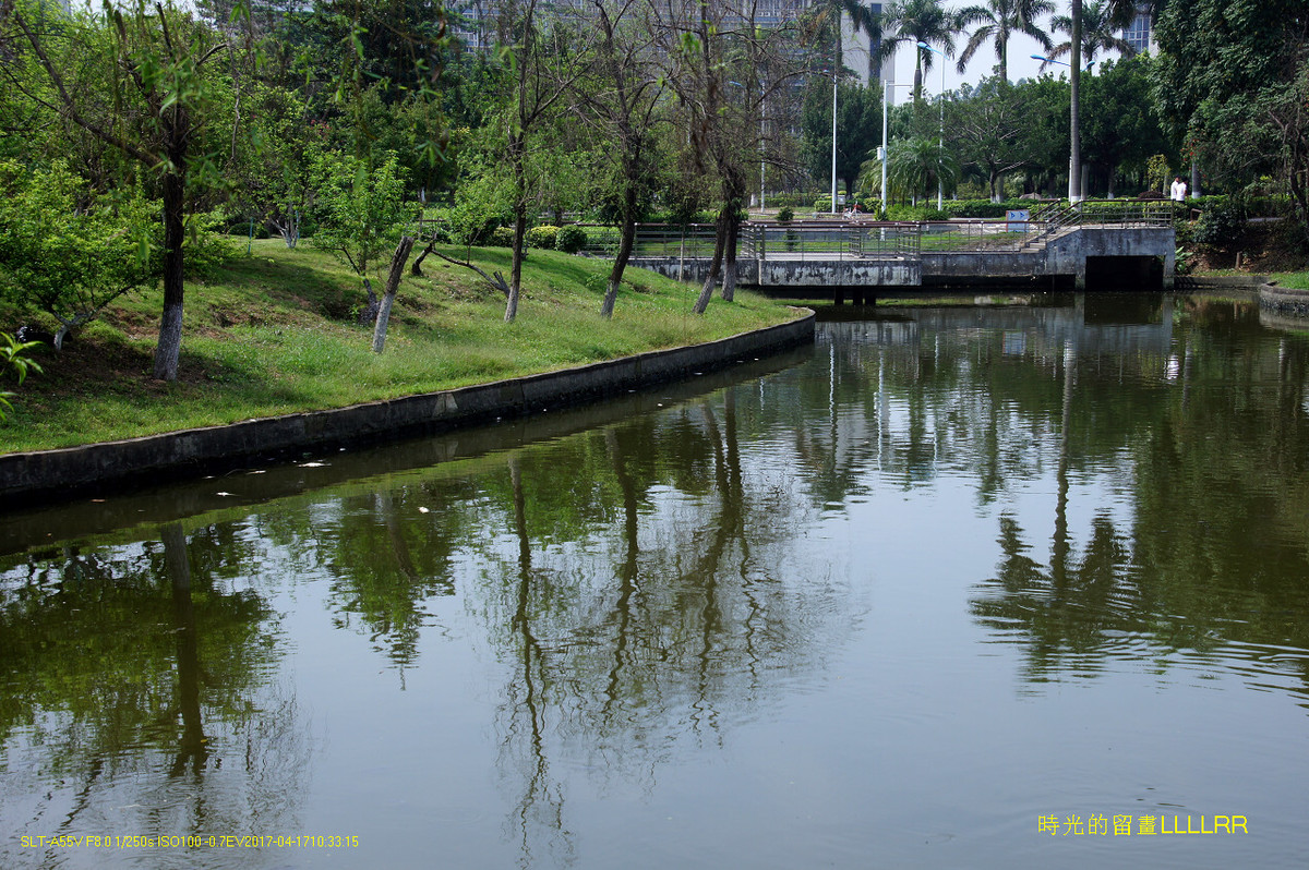 【校园随拍 19】 广州大学