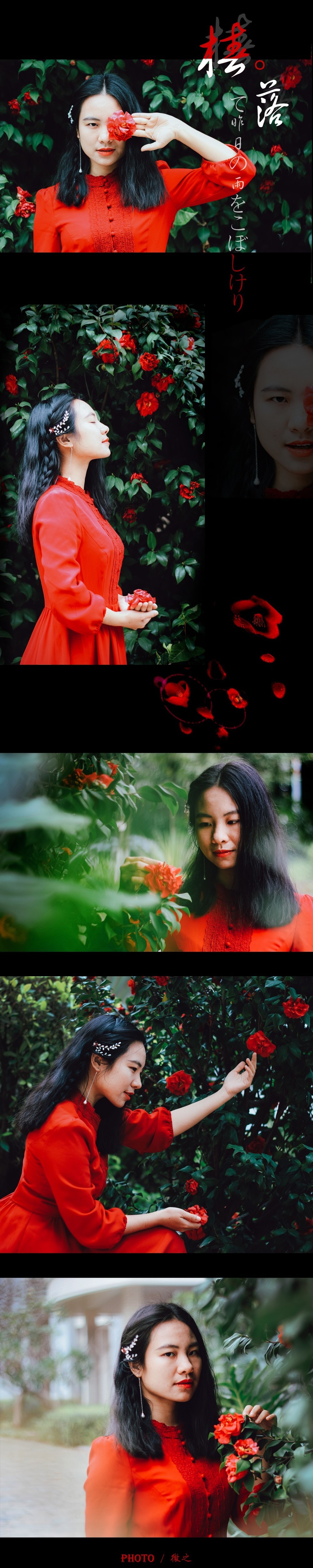 山茶花落