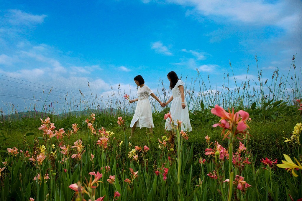 被风吹过的夏天