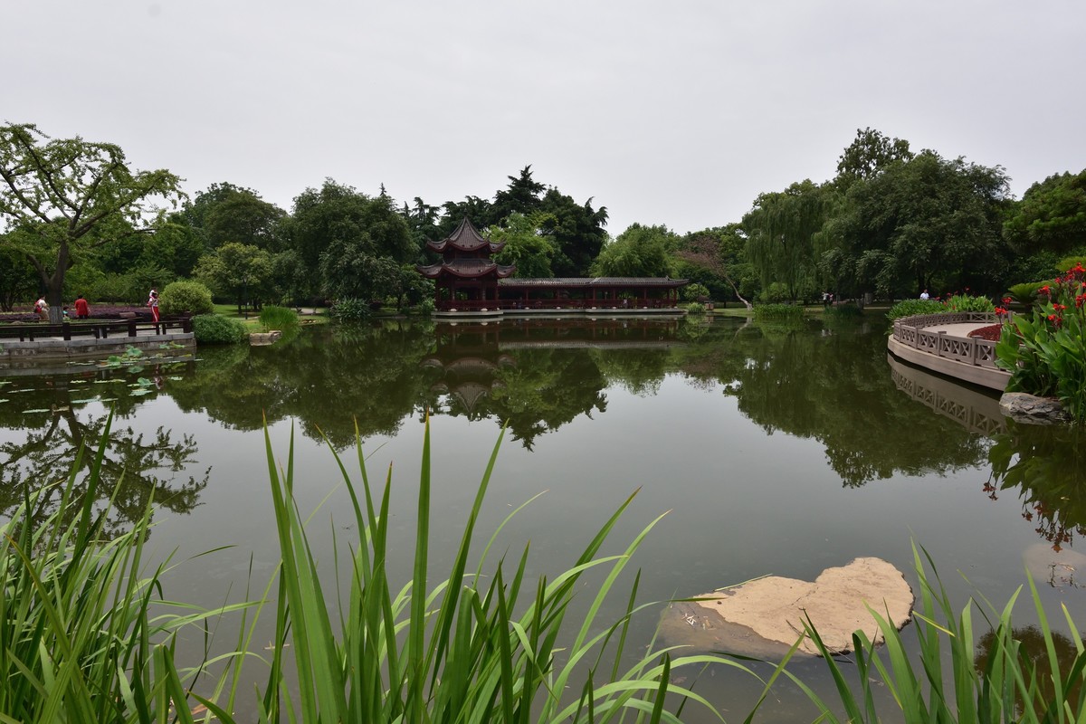 夏日呢喃——长沙橘洲随拍