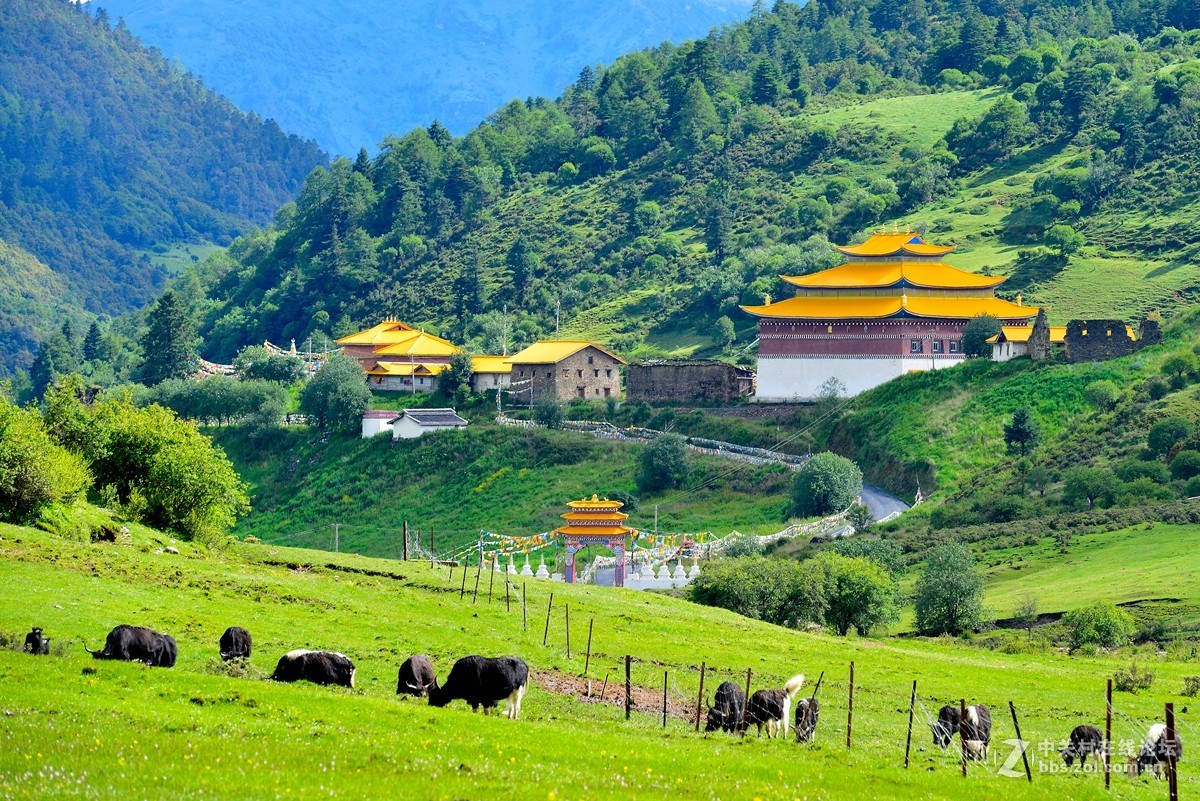 35天西行漫记走进木里王国