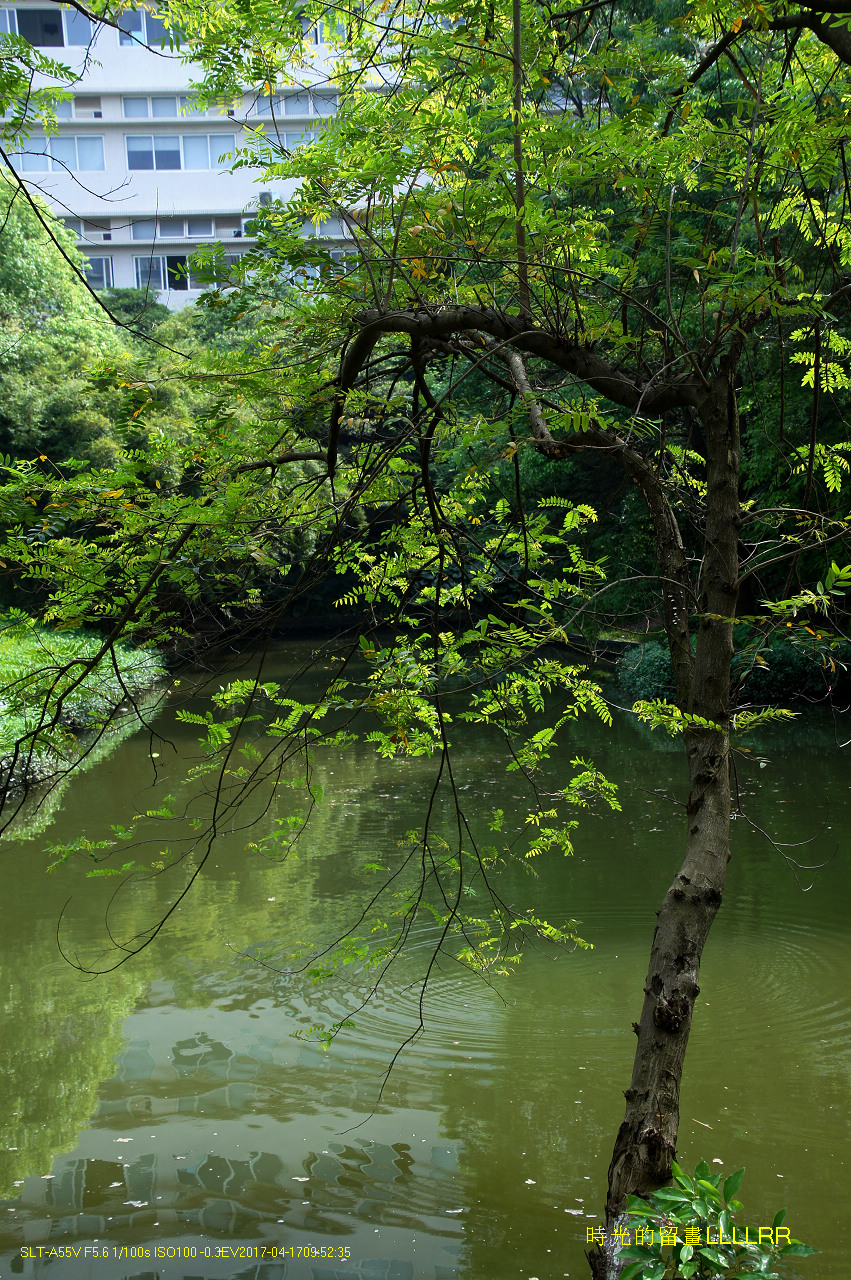 【校园随拍 19】 广州大学