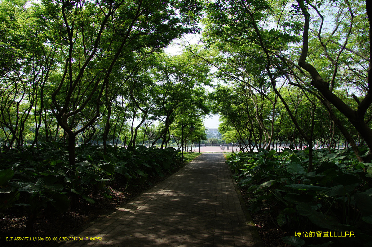 【校园随拍 19】 广州大学