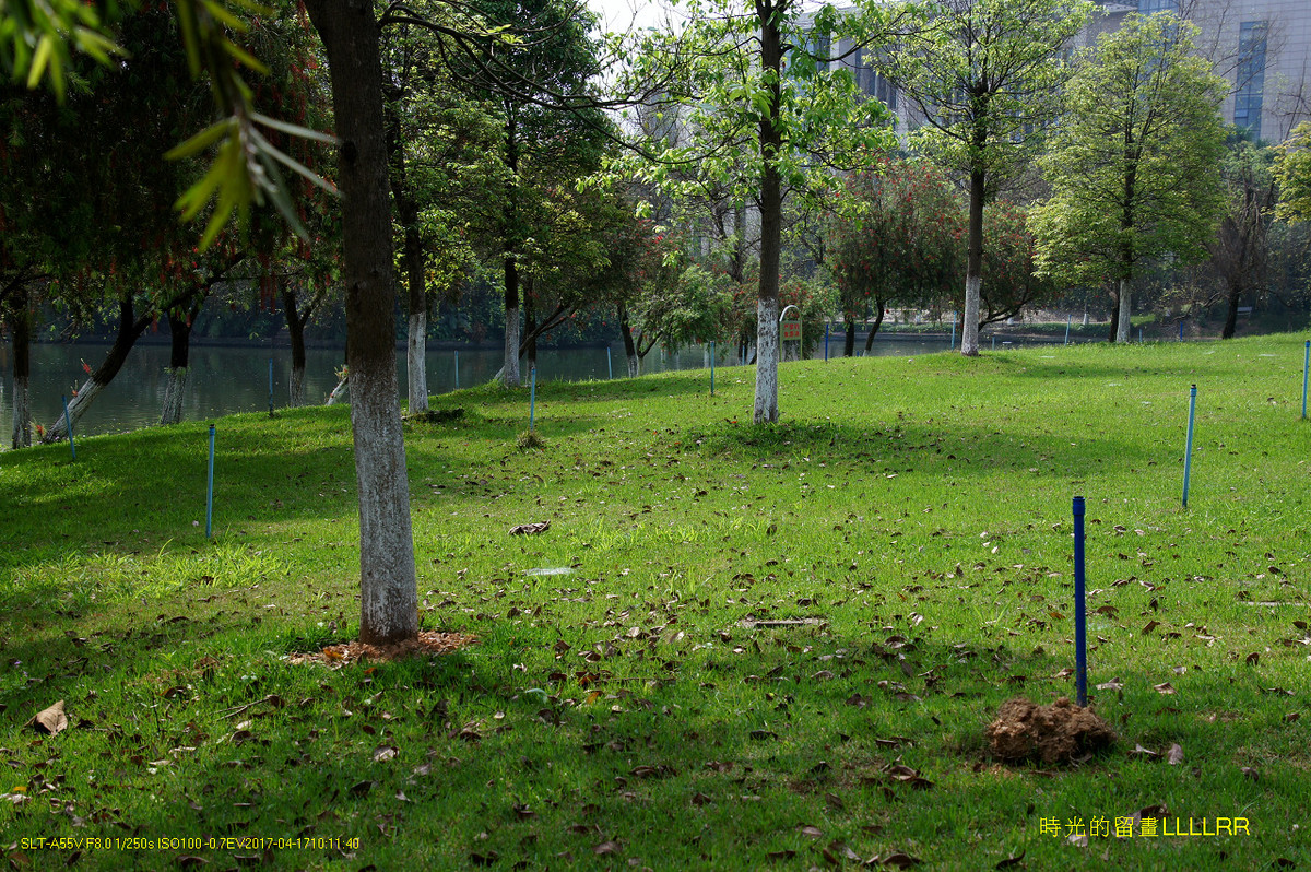 【校园随拍 19】 广州大学