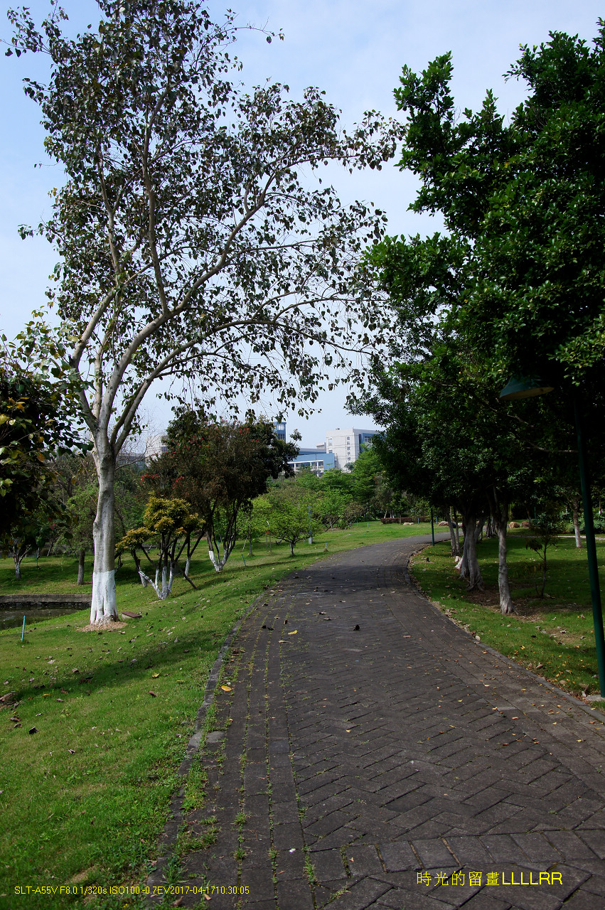 【校园随拍 19】 广州大学