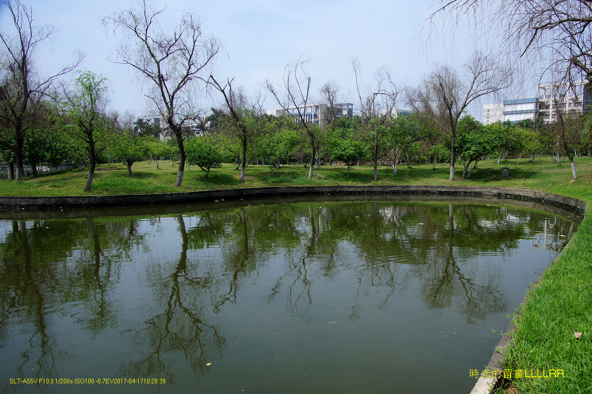 【校园随拍 19】 广州大学