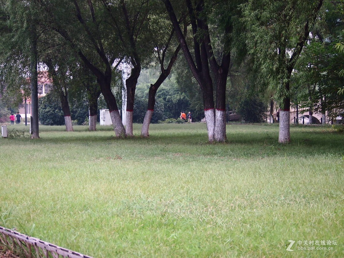 早晨，街道，洒水车，公园