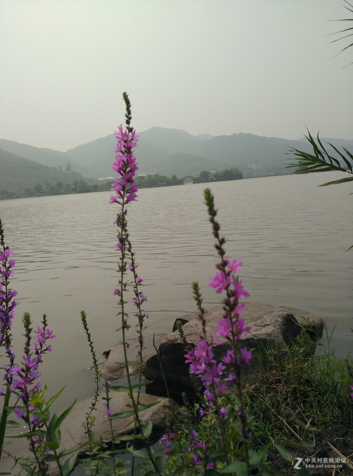 山水之间——51公积金管家