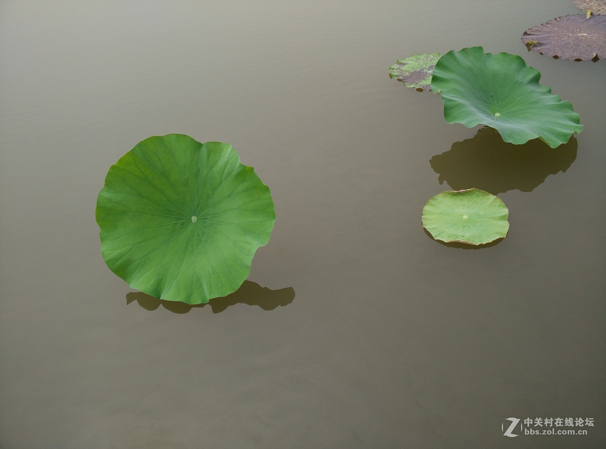 山水之间——51公积金管家