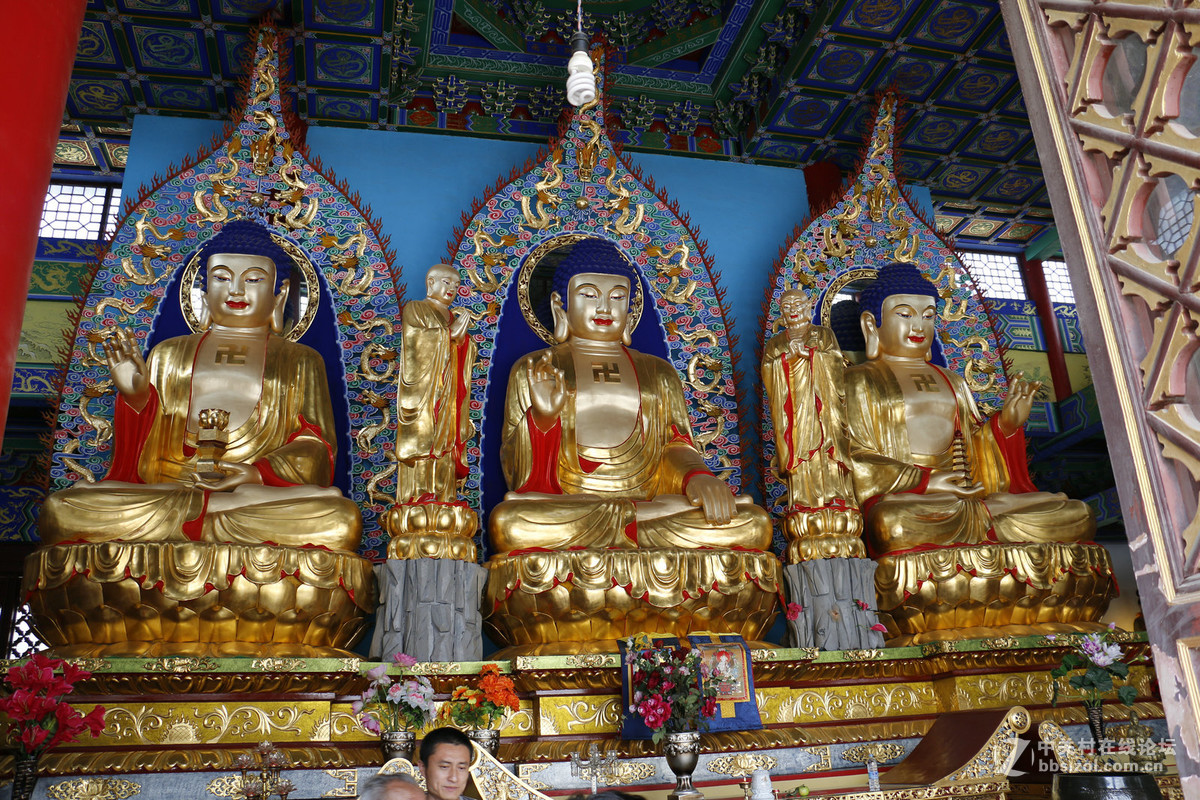 第一次上传失败但愿这次成功