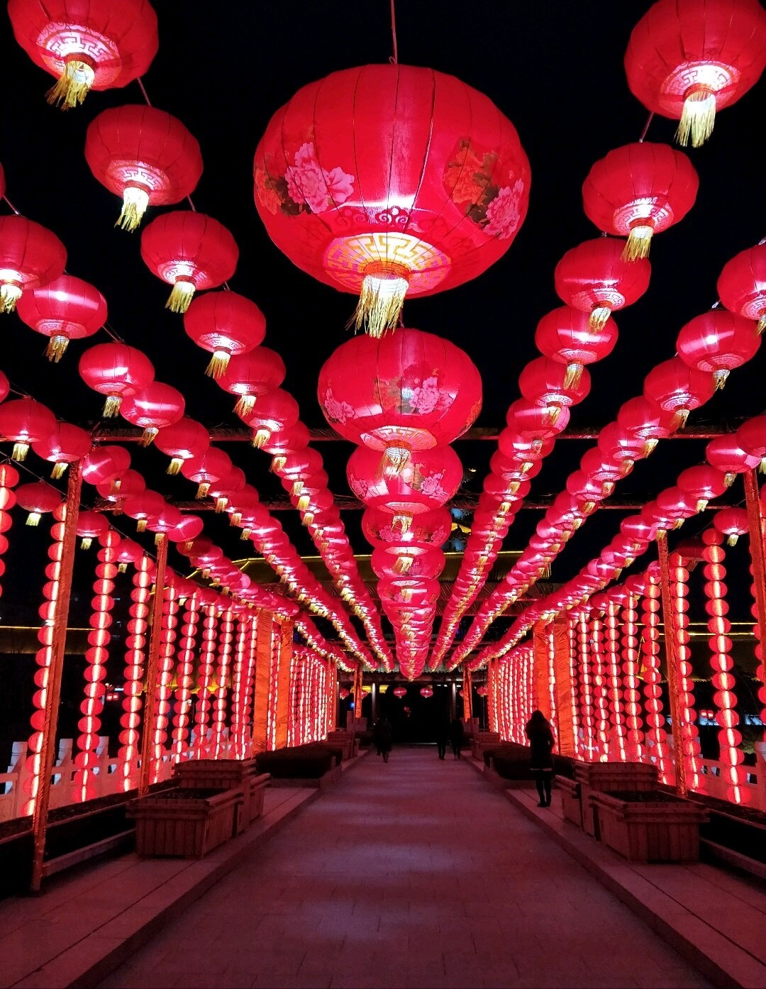 #佳能G族-年味#喜迎新春