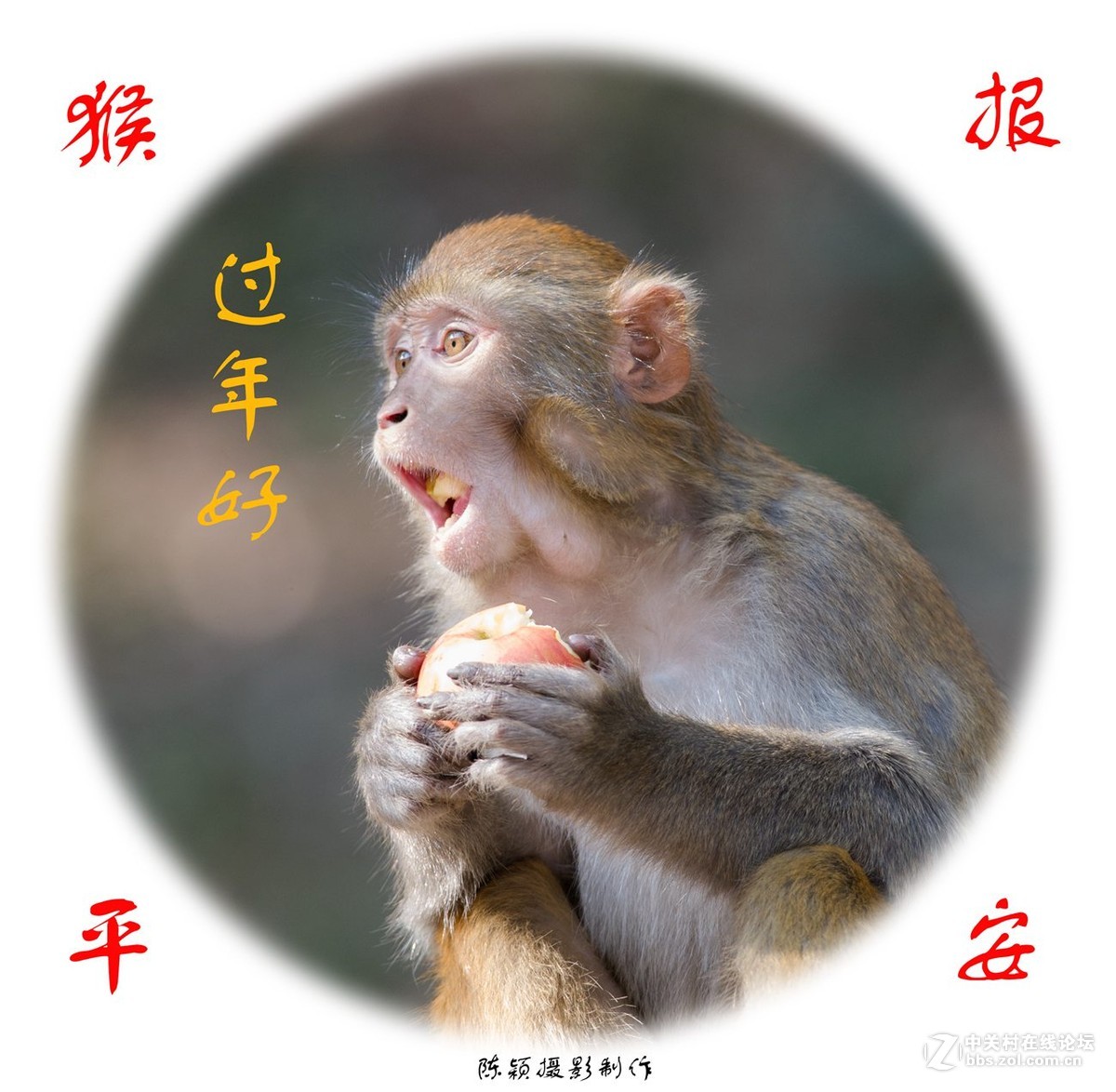 拜年啦