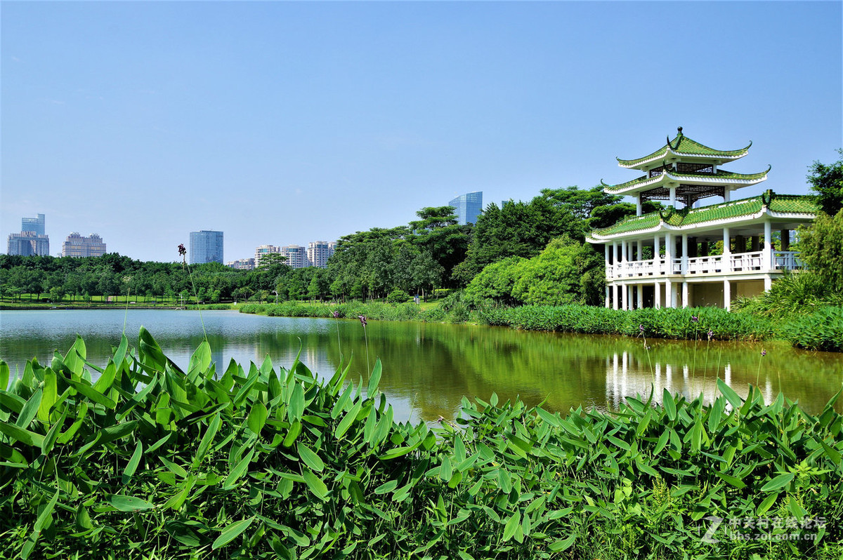 中心公园